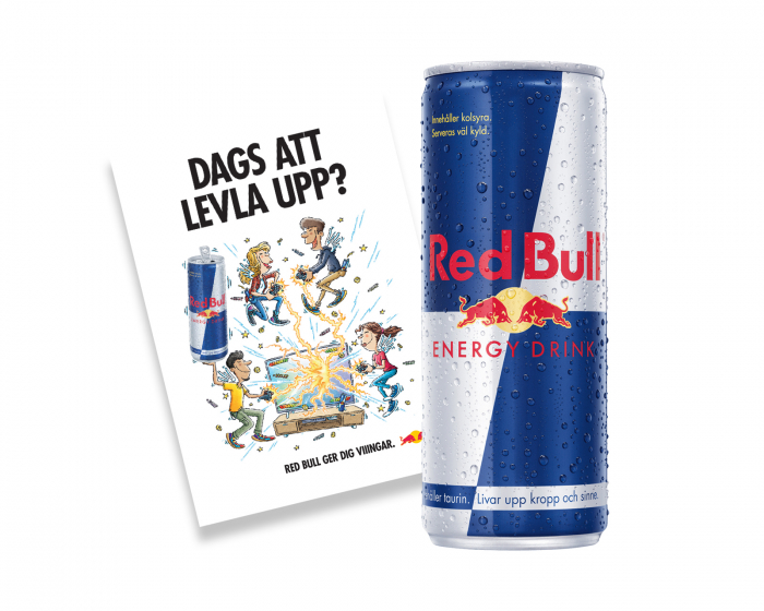 Red Bull Gratisartikel! - Energy Drink, 250ml, Original + Red Bull Flyer