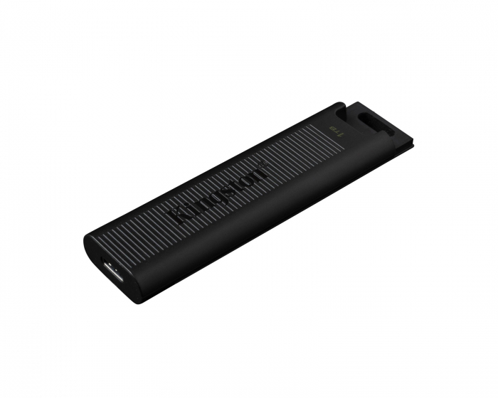 Kingston DataTraveler Max USB-Stick - 1TB