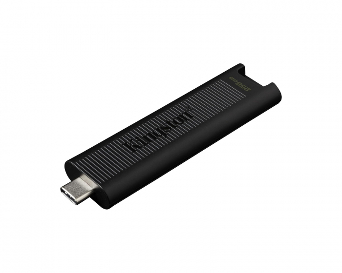 Kingston DataTraveler Max USB-Stick - 256GB